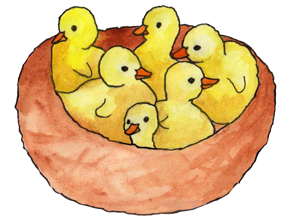 Six yelloe goslings with orange beaks sitting together in an orangey brown nest.